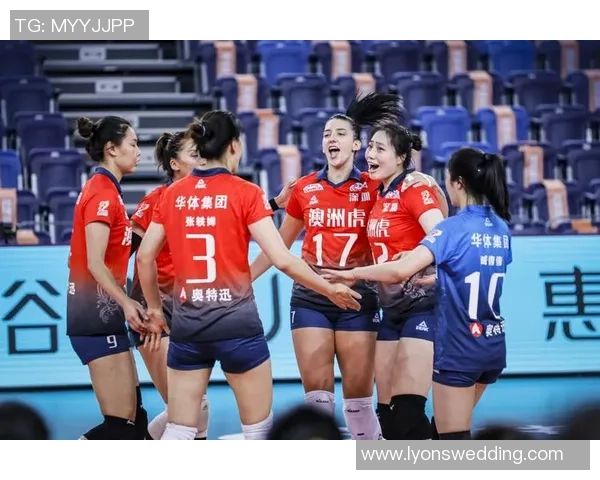 数据分析：深圳排球队的技术表现