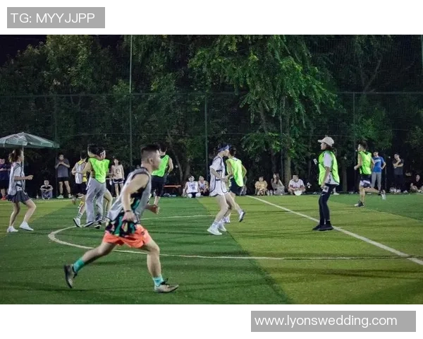 从零开始：飞盘力量完全攻略