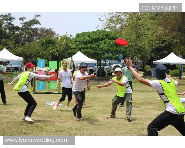 深度对话：黄伟的飞盘人生_1