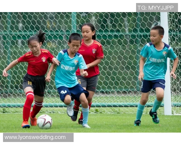 足球纪实：记录武汉足球队的奋斗经历